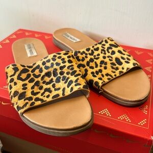 Steve Madden Leopard print slides